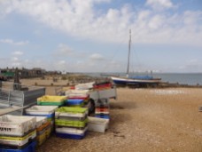 Oyster boxes in Whitstable