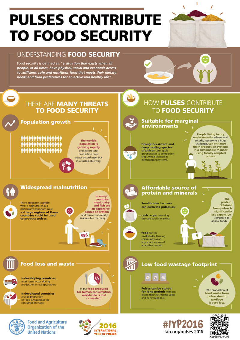 FAO-Infographic-IYP2016-FoodSecurity-en